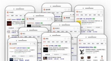 卡地亞、寶格麗、LV等奢侈品牌如何借移動搜索拓展市場邊界？