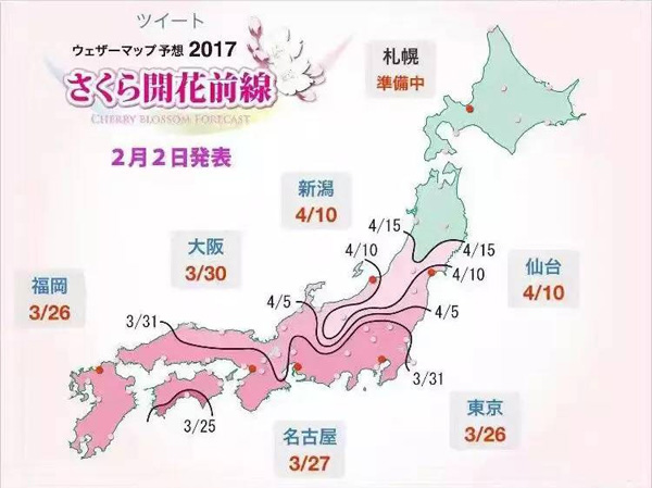  日本賞櫻倒計時，錯過只能等明年！