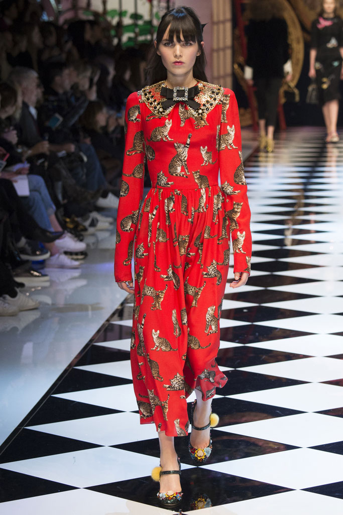 Dolce & Gabbana 2016秋冬流行發布