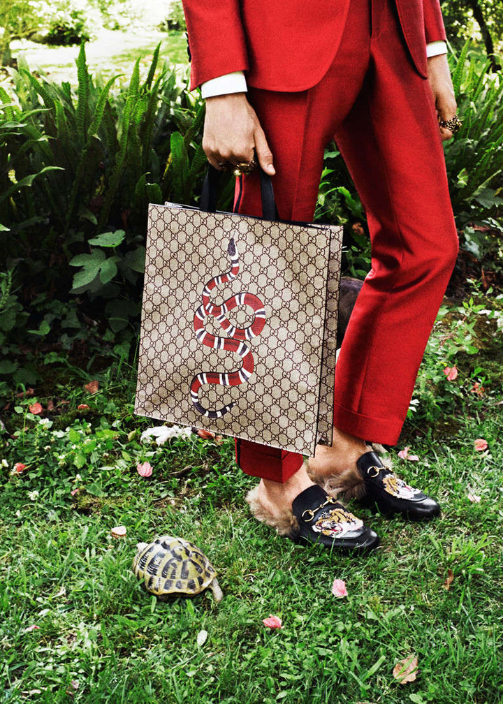 Gucci 2016假日系列廣告大片