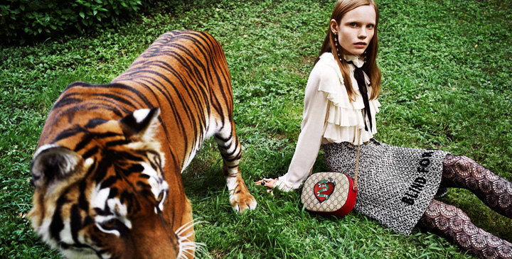Gucci 2016假日系列廣告大片