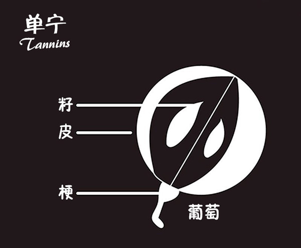 讀懂這9張圖，從葡萄酒“磚家”變“專家” 
