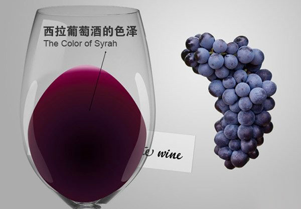 美酒課堂：如何飲用西拉葡萄酒？