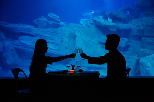 中國情侶入住Airbnb巴黎水族館，和鯊魚“共眠”