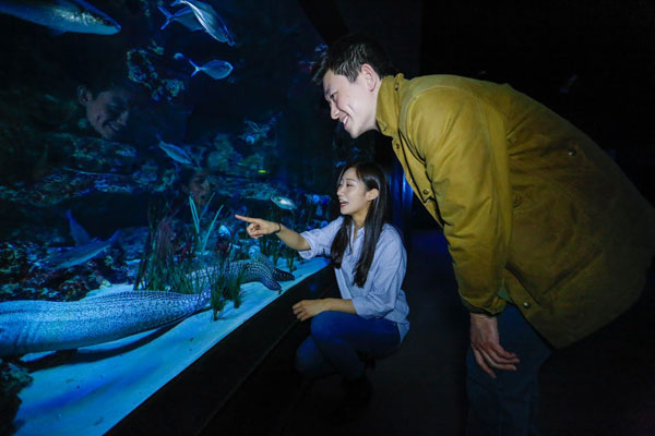 中國情侶入住Airbnb巴黎水族館，和鯊魚“共眠”