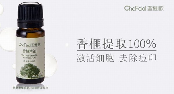 中韓聯(lián)合打造護(hù)膚品牌圣榧?xì)W，中國香榧產(chǎn)業(yè)邁向國際