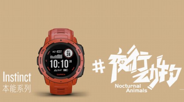 Garmin個性海報引發猜想：夜行動物是什么梗？