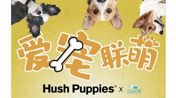 國際愛狗日,暇步士打造愛寵聯“萌”助力寵物公益