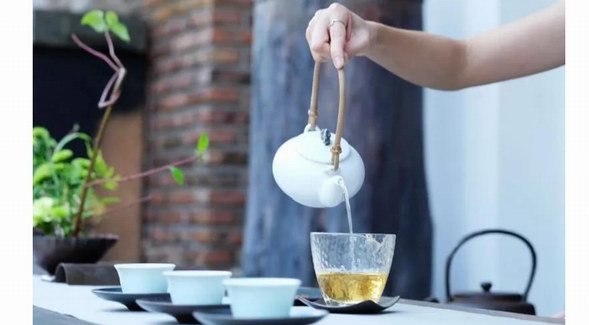 白茶是什么茶？25個關(guān)于白茶的”小白“知識