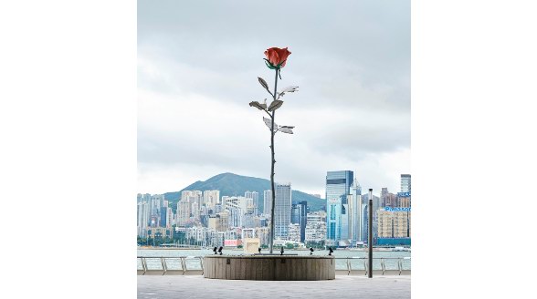  8.5米巨型玫瑰再筑“品位高地”，尖沙咀優購文化地標K11 MUSEA詮釋浪漫基因