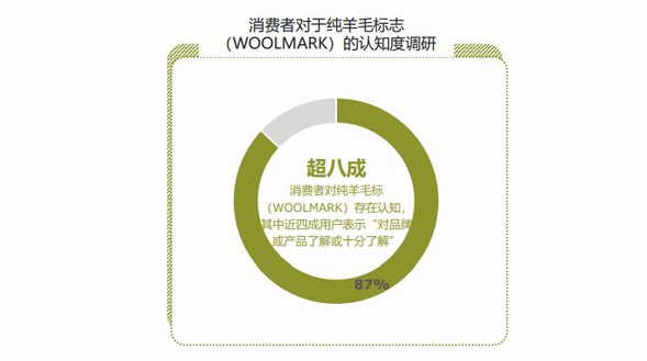 誰更偏愛羊毛服飾？《2022羊毛材質消費趨勢洞察》揭露四大升級方向 | CBNData報告