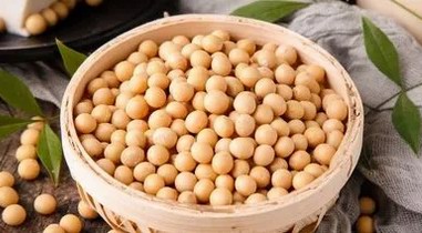 運動減脂人群，為什么對大豆蛋白“情有獨鐘”？
