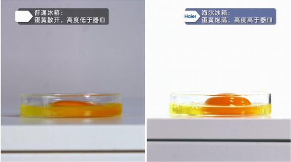 哪家冰箱保鮮強？海爾冰箱：一枚雞蛋看到領先