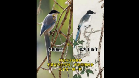 李現(xiàn) “打鳥”作品與張大千畫作神似  生態(tài)藝術(shù)引跨時空對話