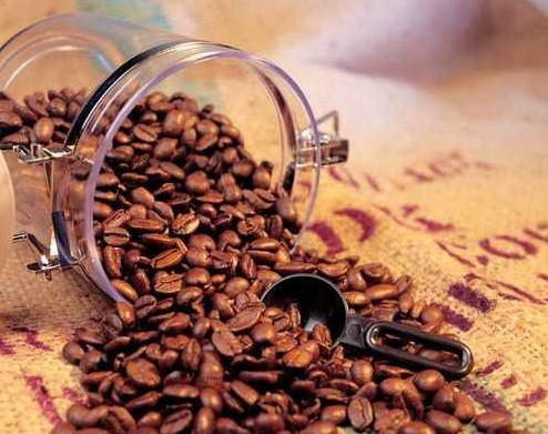 Kopi Luwak印尼魯瓦克咖啡豆，世界上最貴的咖啡豆
